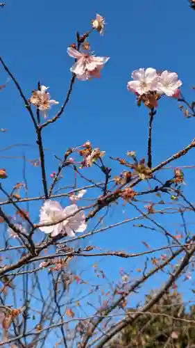 勧修寺(京都府)