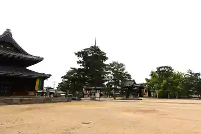 善通寺(香川県)