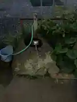 一本松弘法堂の手水舎