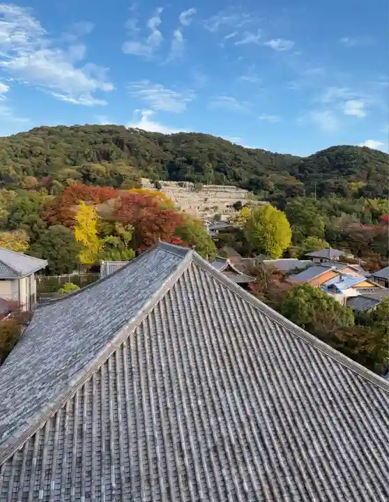 大雲院(京都府)