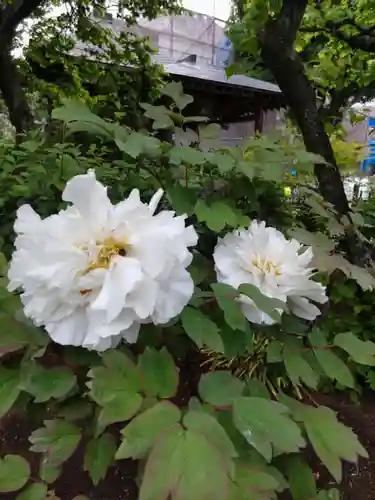 清泰寺の庭園