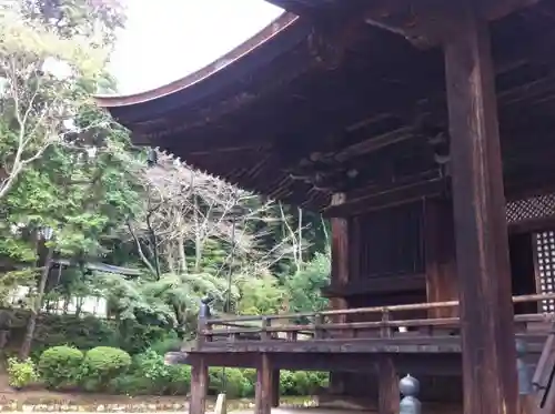 園城寺（三井寺）の本殿