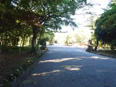 宇佐神宮(大分県)