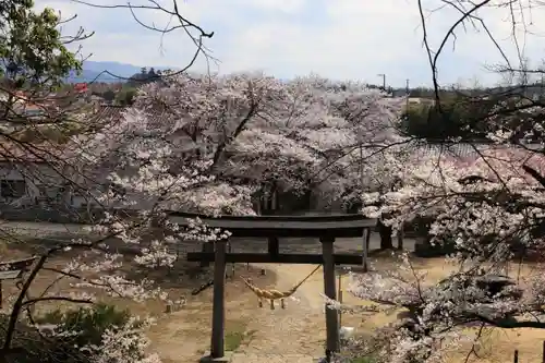 田村神社の鳥居