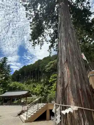 高麗神社(埼玉県)