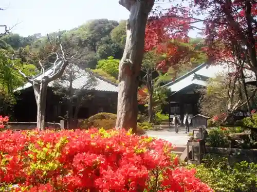 海蔵寺の庭園