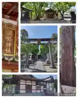 橘樹神社(神奈川県)