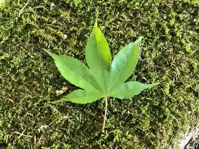 木舟山　順教寺の自然