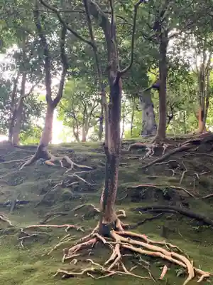 城南宮(京都府)