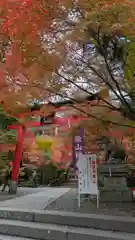 鍬山神社(京都府)