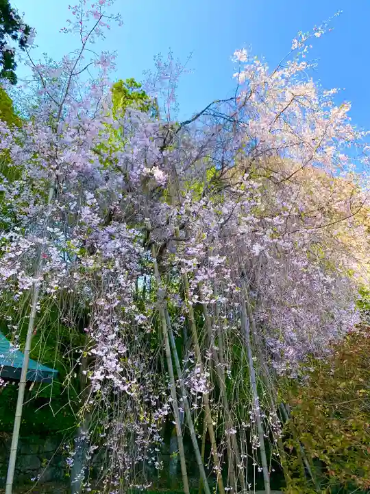 常宮神社の自然