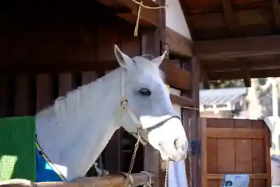 賀茂別雷神社（上賀茂神社）(京都府)