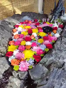 厚別神社(北海道)(2024年09月09日(月) 09時54分38秒投稿)