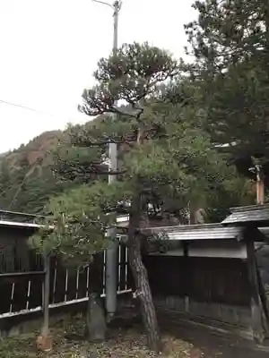 長泉寺の建物その他