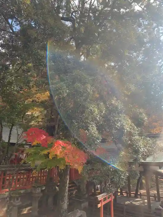 手向山八幡宮(奈良県)