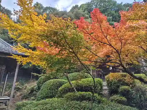 真禅院(岐阜県)