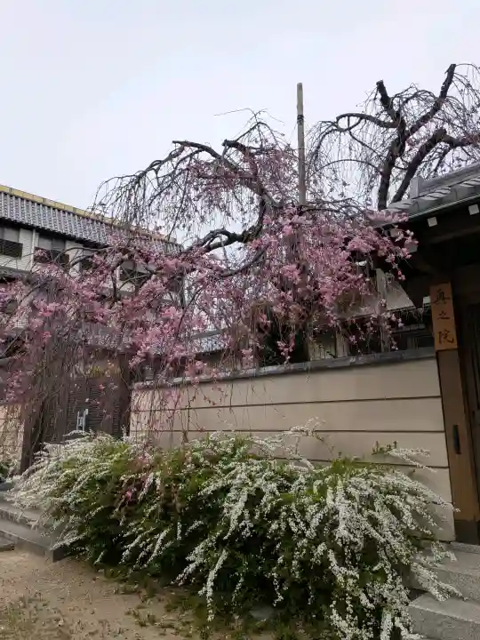 四天王寺庚申堂の{uncategorized: "未分類", other: "その他", undefined: "問題あり", building: "その他建物", grave: "お墓", sacred_gate: "鳥居", guardian: "狛犬", statue: "像", buddha: "仏像", history: "歴史", nature: "自然", garden: "庭園", animal: "動物", pagoda: "塔", temizu: "手水舎", mountain_gate: "山門・神門", sanctuary: "本殿・本堂", subordinate: "末社・摂社", art: "芸術", scenery: "景色", jizo: "地蔵", ema: "絵馬", goshuin: "御朱印", omikuji: "おみくじ", items: "授与品その他", amulet: "お守り", goshuincho: "御朱印帳", eats: "食事", festival: "お祭り", votive_dance: "神楽", shichigosan: "七五三参", wedding: "結婚式", experience: "体験その他", initially: "初詣", around: "周辺", anti_infection: "感染症対策"}