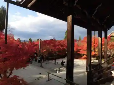 禅林寺(永観堂)のその他建物