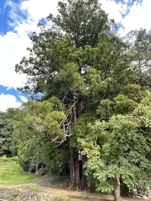 岩神社(奈良県)