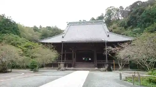 妙本寺の本殿・本堂