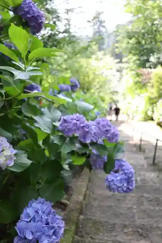 太平山神社(栃木県)
