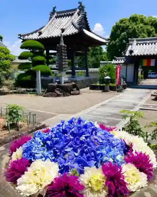 真言宗　善通寺派　薬王寺(香川県)