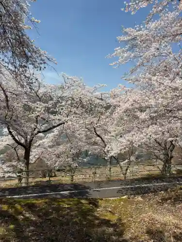 佐々井厳島神社の{uncategorized: "未分類", other: "その他", undefined: "問題あり", building: "その他建物", grave: "お墓", sacred_gate: "鳥居", guardian: "狛犬", statue: "像", buddha: "仏像", history: "歴史", nature: "自然", garden: "庭園", animal: "動物", pagoda: "塔", temizu: "手水舎", mountain_gate: "山門・神門", sanctuary: "本殿・本堂", subordinate: "末社・摂社", art: "芸術", scenery: "景色", jizo: "地蔵", ema: "絵馬", goshuin: "御朱印", omikuji: "おみくじ", items: "授与品その他", amulet: "お守り", goshuincho: "御朱印帳", eats: "食事", festival: "お祭り", votive_dance: "神楽", shichigosan: "七五三参", wedding: "結婚式", experience: "体験その他", initially: "初詣", around: "周辺", anti_infection: "感染症対策"}