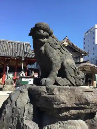 浅草神社の狛犬