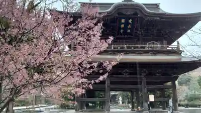 建長寺の山門・神門