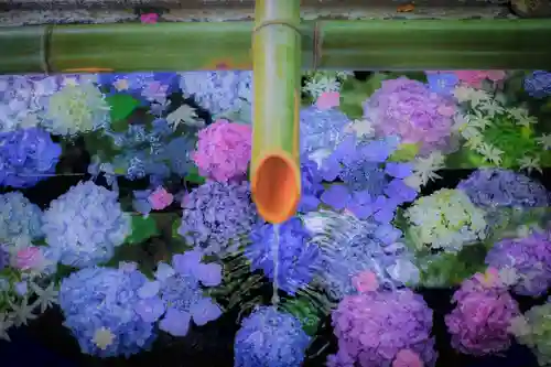 伊勢山皇大神宮の手水舎