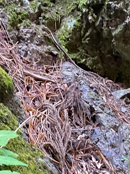 玉置神社(奈良県)