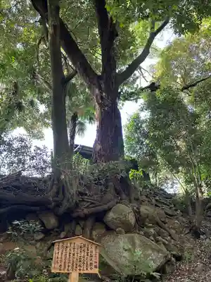 五所駒瀧神社(茨城県)