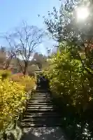 明月院(神奈川県)