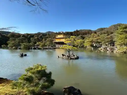 鹿苑寺（金閣寺）の{uncategorized: "未分類", other: "その他", undefined: "問題あり", building: "その他建物", grave: "お墓", sacred_gate: "鳥居", guardian: "狛犬", statue: "像", buddha: "仏像", history: "歴史", nature: "自然", garden: "庭園", animal: "動物", pagoda: "塔", temizu: "手水舎", mountain_gate: "山門・神門", sanctuary: "本殿・本堂", subordinate: "末社・摂社", art: "芸術", scenery: "景色", jizo: "地蔵", ema: "絵馬", goshuin: "御朱印", omikuji: "おみくじ", items: "授与品その他", amulet: "お守り", goshuincho: "御朱印帳", eats: "食事", festival: "お祭り", votive_dance: "神楽", shichigosan: "七五三参", wedding: "結婚式", experience: "体験その他", initially: "初詣", around: "周辺", anti_infection: "感染症対策"}