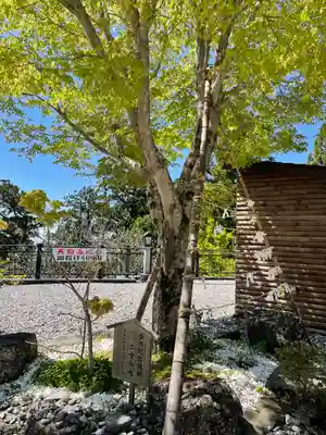 秋葉山本宮 秋葉神社 上社(静岡県)