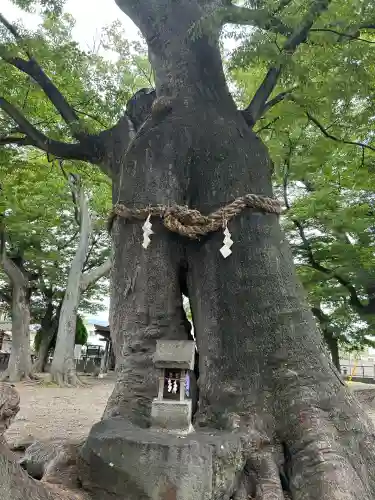 美和神社(長野県)