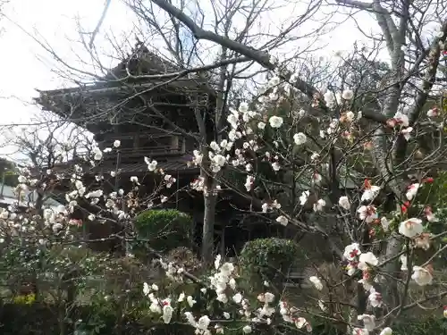 英勝寺のその他建物