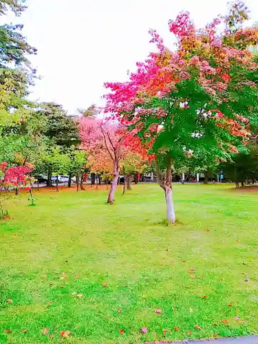 札幌護國神社の自然