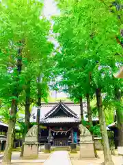 金村別雷神社(茨城県)