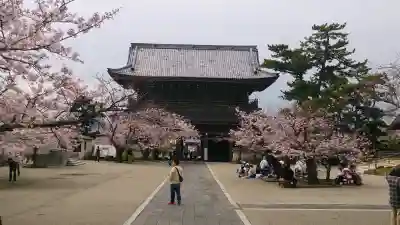 光明寺の{uncategorized: "未分類", other: "その他", undefined: "問題あり", building: "その他建物", grave: "お墓", sacred_gate: "鳥居", guardian: "狛犬", statue: "像", buddha: "仏像", history: "歴史", nature: "自然", garden: "庭園", animal: "動物", pagoda: "塔", temizu: "手水舎", mountain_gate: "山門・神門", sanctuary: "本殿・本堂", subordinate: "末社・摂社", art: "芸術", scenery: "景色", jizo: "地蔵", ema: "絵馬", goshuin: "御朱印", omikuji: "おみくじ", items: "授与品その他", amulet: "お守り", goshuincho: "御朱印帳", eats: "食事", festival: "お祭り", votive_dance: "神楽", shichigosan: "七五三参", wedding: "結婚式", experience: "体験その他", initially: "初詣", around: "周辺", anti_infection: "感染症対策"}