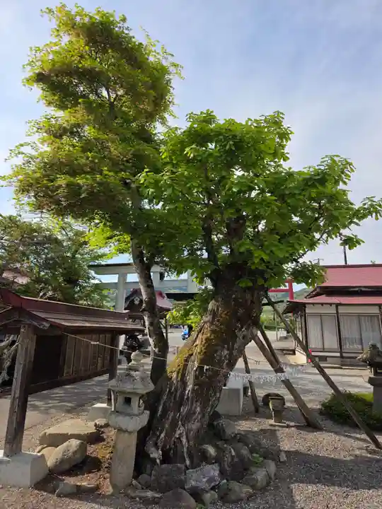 田出宇賀神社(福島県)