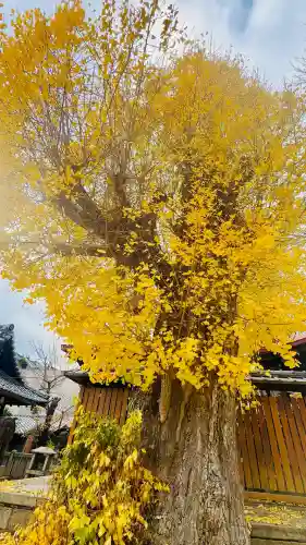 宇賀神社(京都府)
