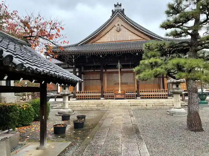 妙蓮寺(京都府)