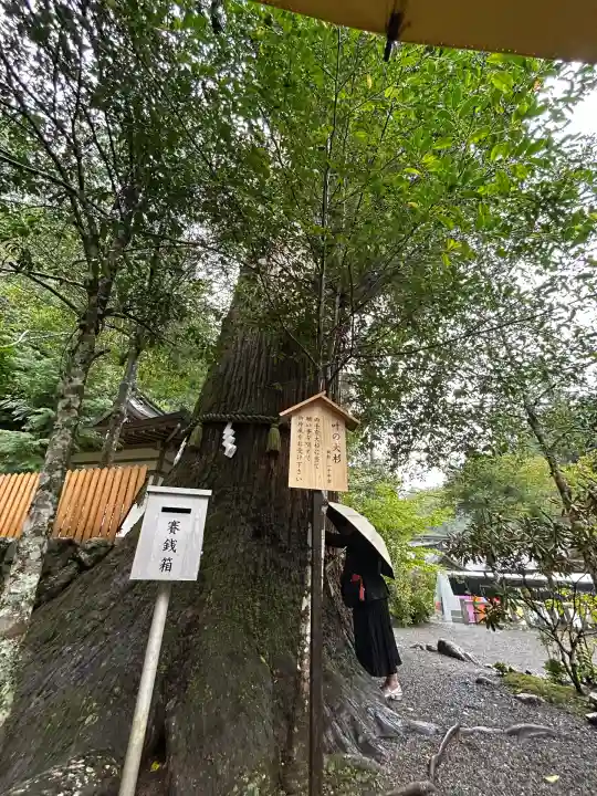 丹生川上神社(中社)(奈良県)