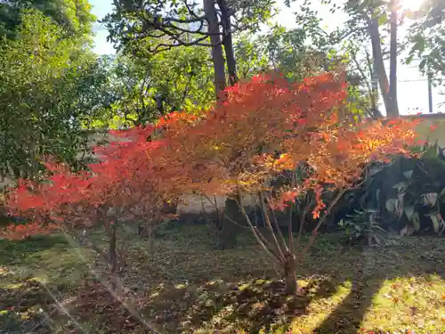 正傳（正伝）永源院の自然