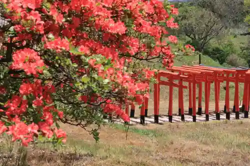 高屋敷稲荷神社の景色