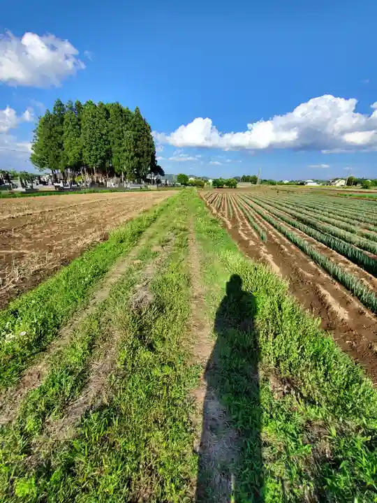 蓮沼神社(栃木県)