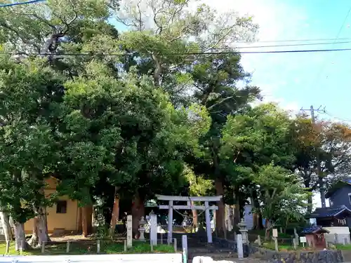 八幡神社の鳥居