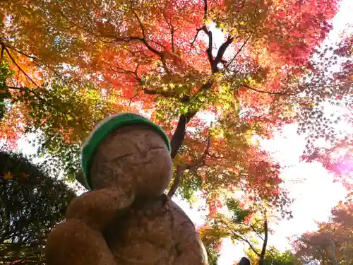 宝徳寺の景色