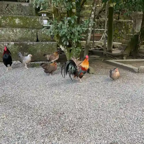 石上神宮(奈良県)